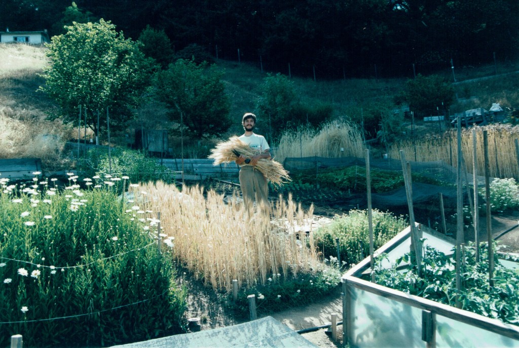 During year long apprenticeship at Ecology Action, Willits, CA 2001