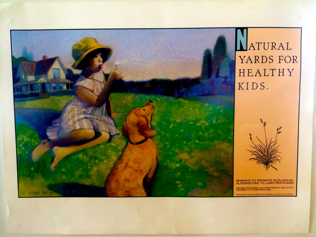 natural  yards poster